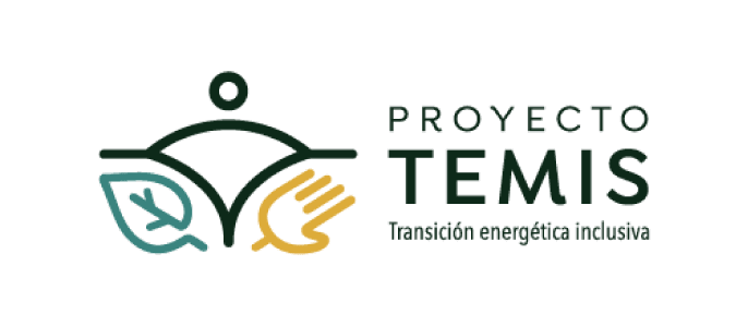 EAPN Madrid 10 Proyecto Temis